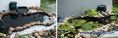 Ribnjak na ljetnoj kućici - izgradnja umjetnog akumulacijskog jezera (+ fotografije)