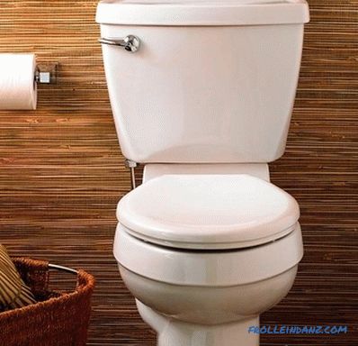 Zamjena WC-a vlastitim rukama - kako zamijeniti WC