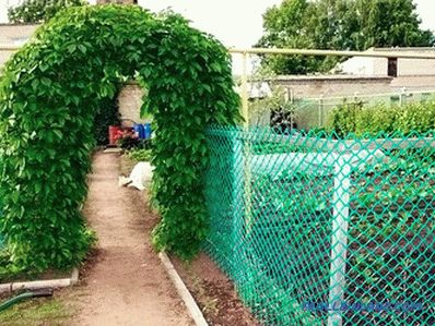 Kako odabrati vrtnu mrežu za ogradu