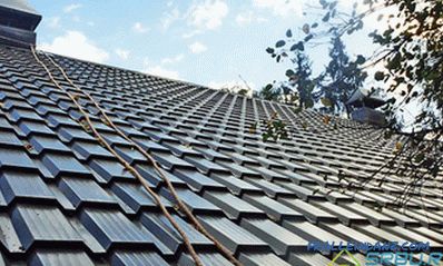 Vrste metalnih krovova, ovisno o bazi, profilu i premazu od polimera + Foto