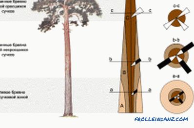 Razvrstavanje drva: automatizacija procesa