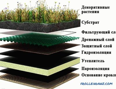 Kako napraviti travnjak na krovu